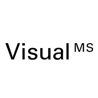 visual-micro-sistems